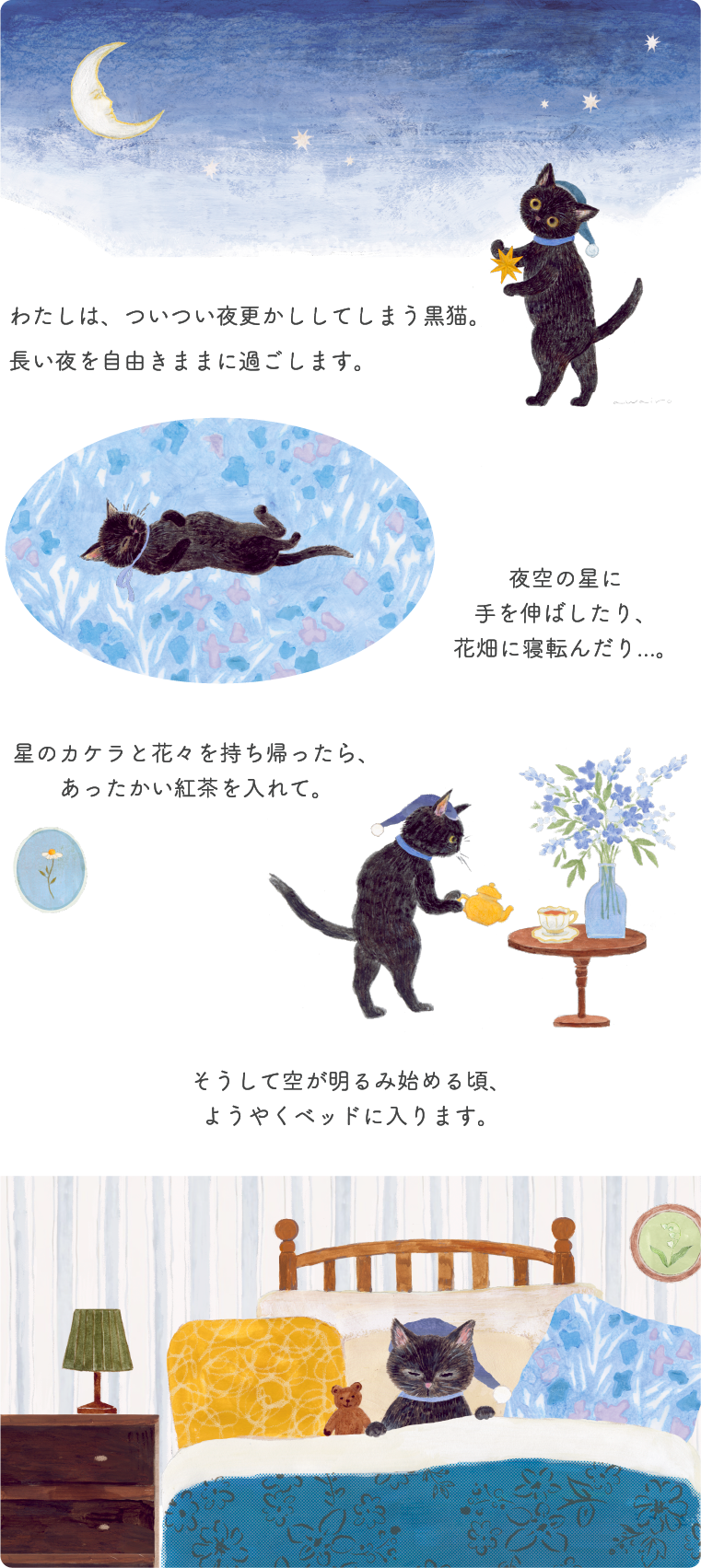 夜更かし猫のストーリー