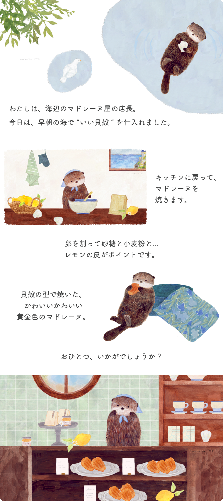 ラッコとマドレーヌとのストーリー