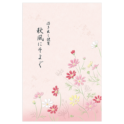 ＡＲ　Ａ５便箋　秋桜