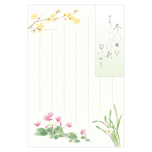 KWBポストカード 冬の花 | エヌビー社