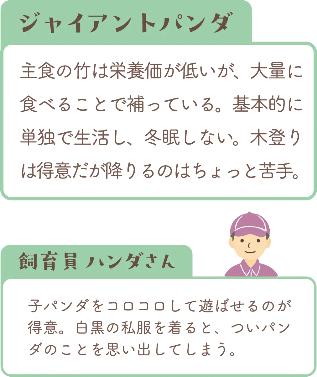 ジャイアントパンダの紹介と飼育員コメント