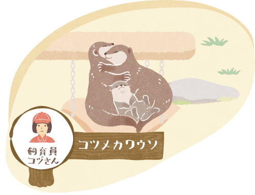 コツメカワウソ