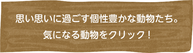 思い思いに過ごす個性豊かな動物たち。気になる動物をタッチ！